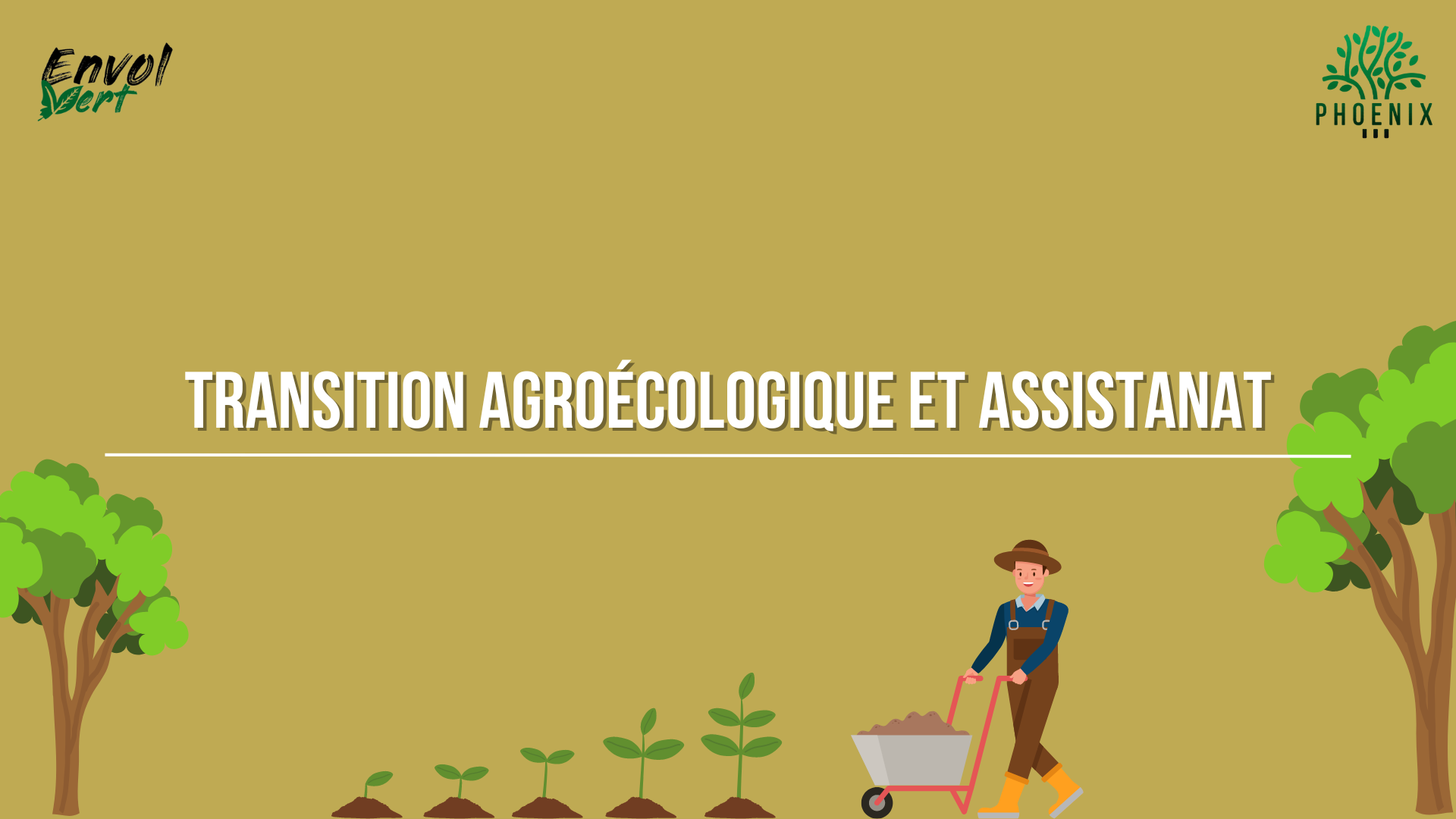 Lire la suite à propos de l’article Accompagnement à la transition agroécologique : bonnes et mauvaises pratiques